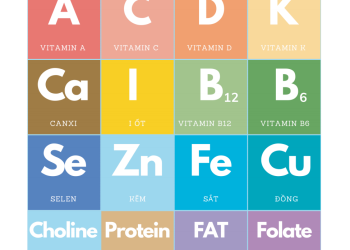 16 chất dinh dưỡng thiết yếu trong ăn dặm bổ não