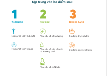 Phương pháp ăn dặm bổ não tập trung 3 điểm