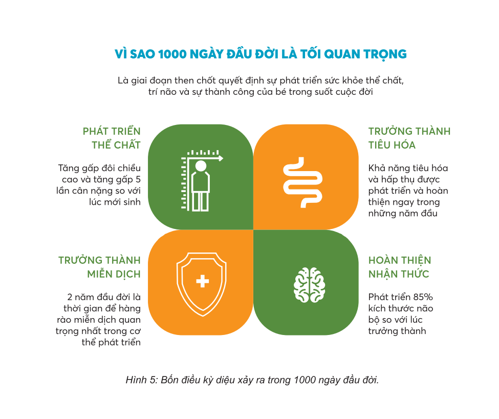Vì sao 1000 ngày đầu đời là yếu tố quan trọng