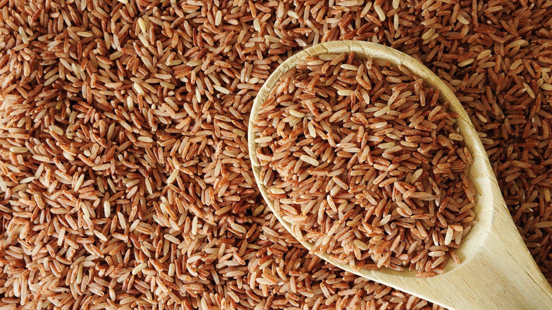 Hình ảnh gạo lứt