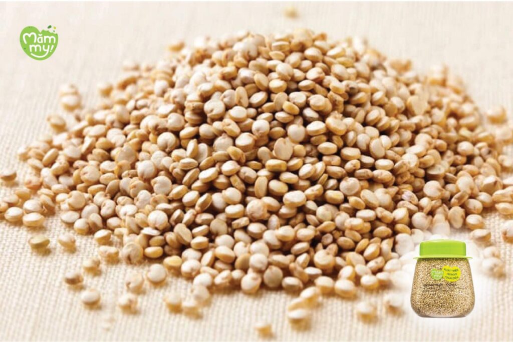 Hình ảnh hạt diêm mạch - quinoa