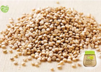 Hình ảnh hạt diêm mạch - quinoa