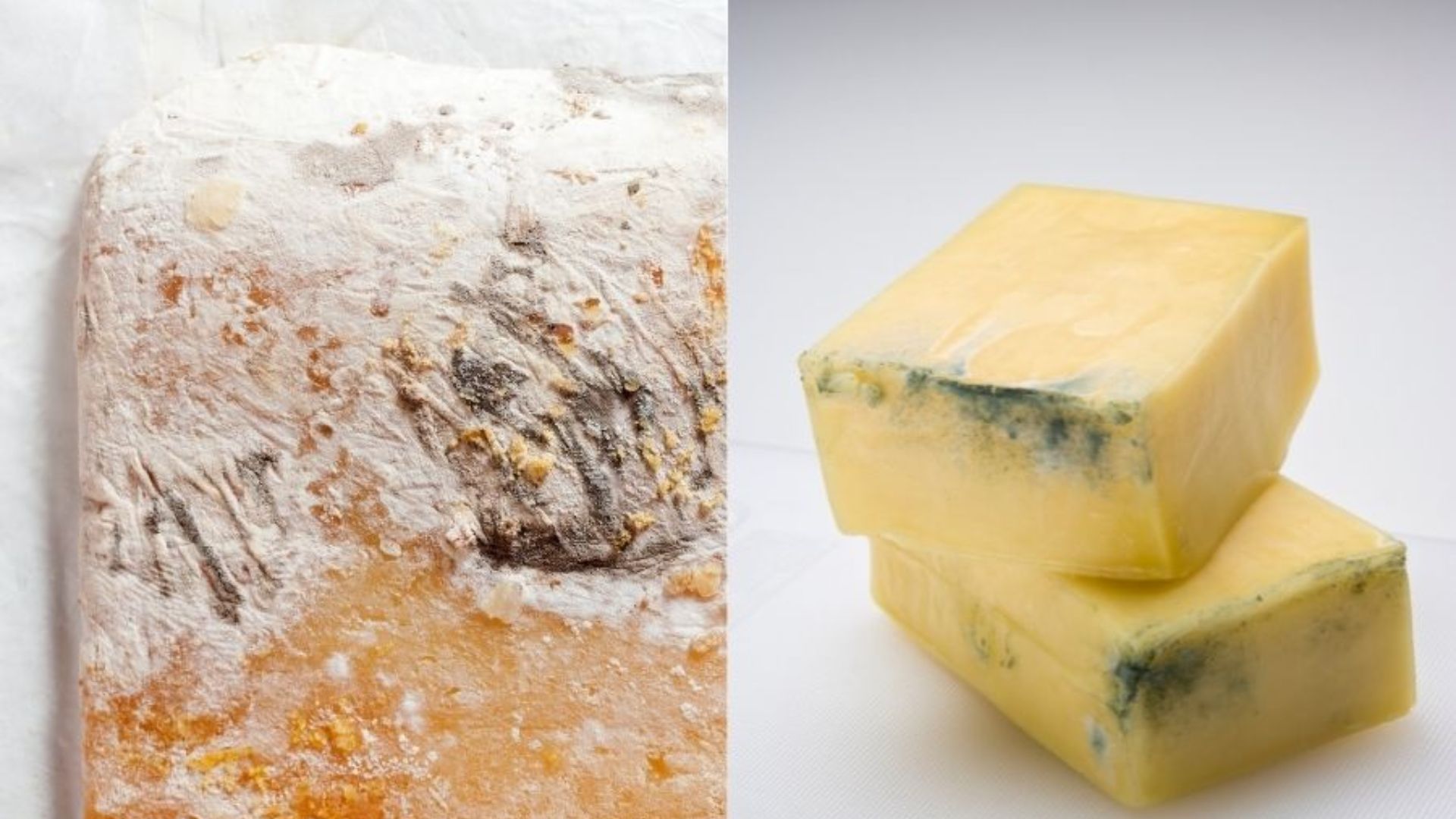 Phô mai tươi bị khô, mốc
