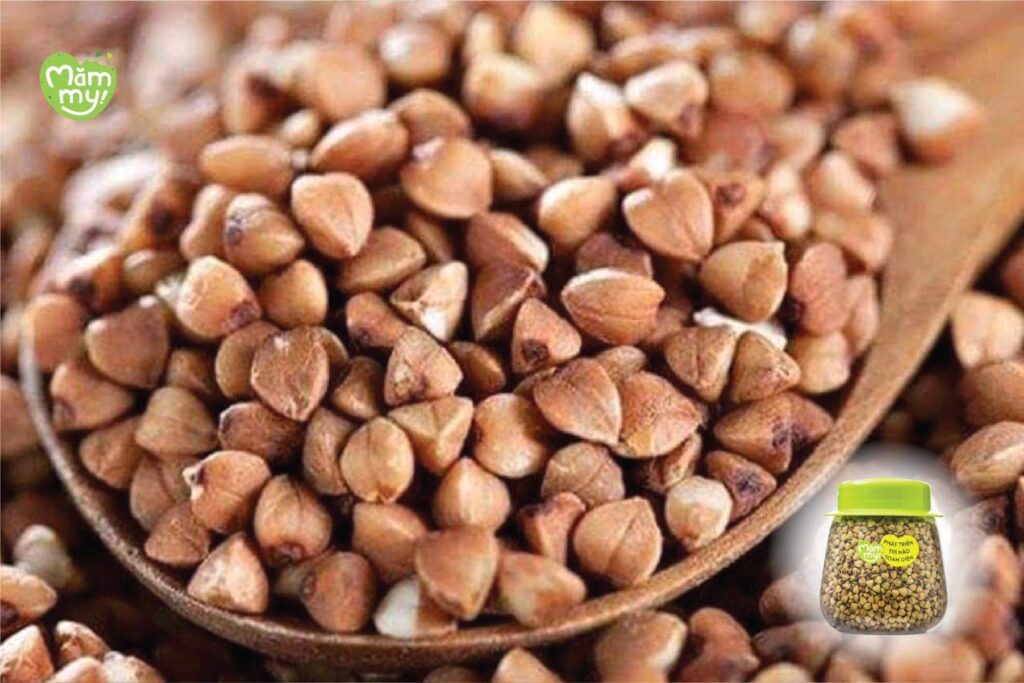 Hạt kiều mạch dinh dưỡng Mămmy cho bé ăn dặm