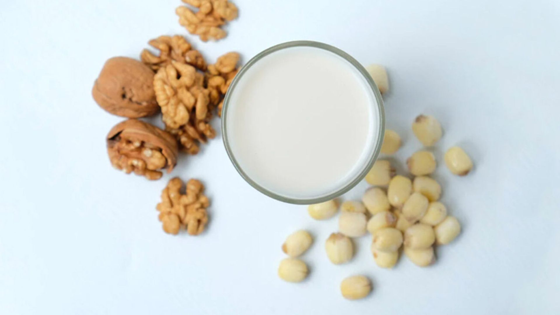 Sữa đậu gà óc chó