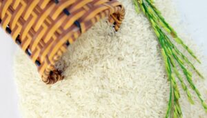 Rang gạo để nấu cháo cho bé