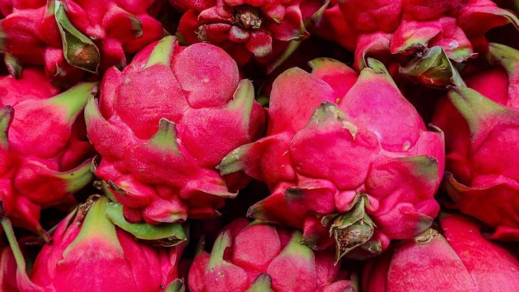 Trẻ bao nhiêu tháng được ăn thanh long