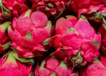 Trẻ bao nhiêu tháng được ăn thanh long