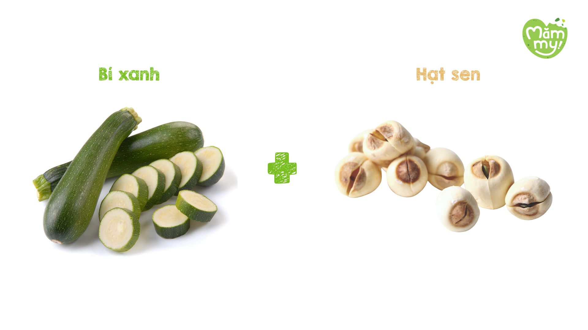 Bí xanh và hạt sen