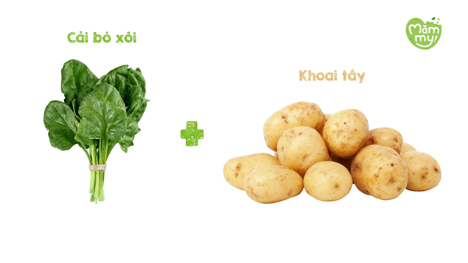 Cải bó xôi và khoai tây