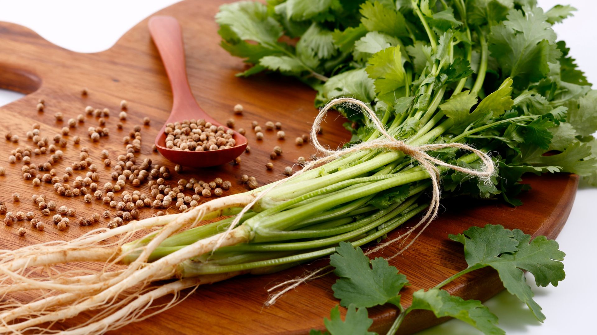 Các loại rau thơm an toàn cho bé từ 1 tuổi