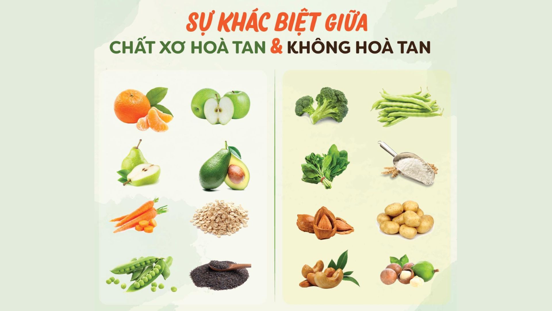 Chất xơ hòa tan và chất xơ không hòa tan khác nhau thế nào