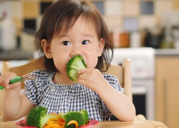 Trẻ ăn dặm nên bổ sung loại chất xơ nào