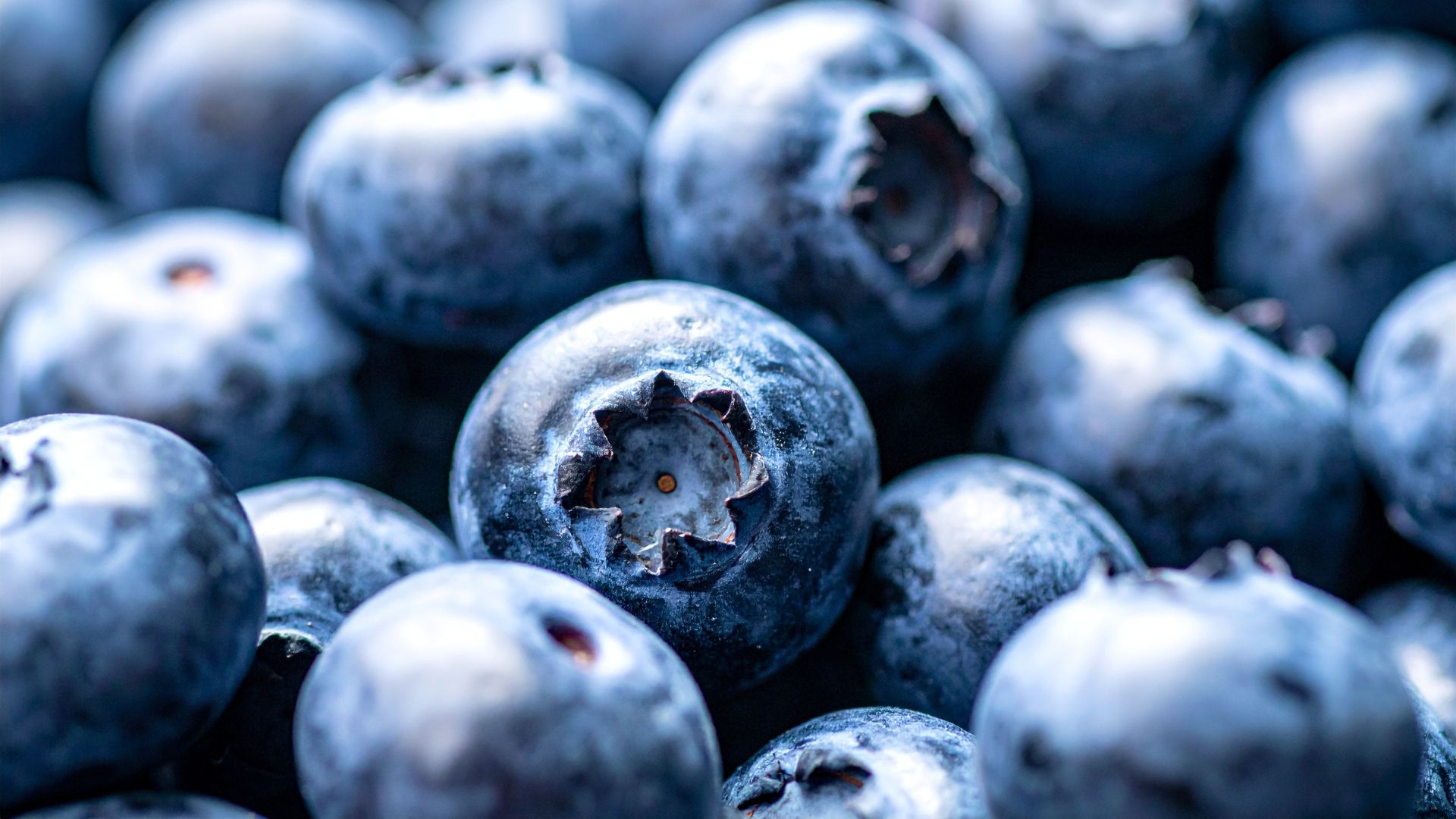 Việt quất thích hợp cho bé 6 tháng ăn dặm